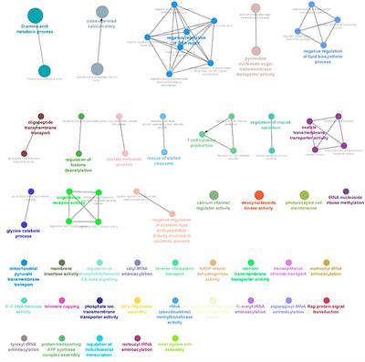 Kidney transcriptome response to salinity adaptation in Labeo rohita